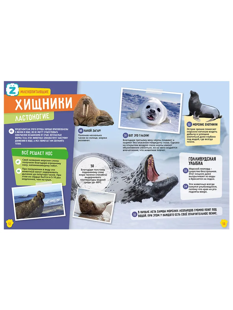 Animals. Dinosaurs. 250 Incredible Facts (set)