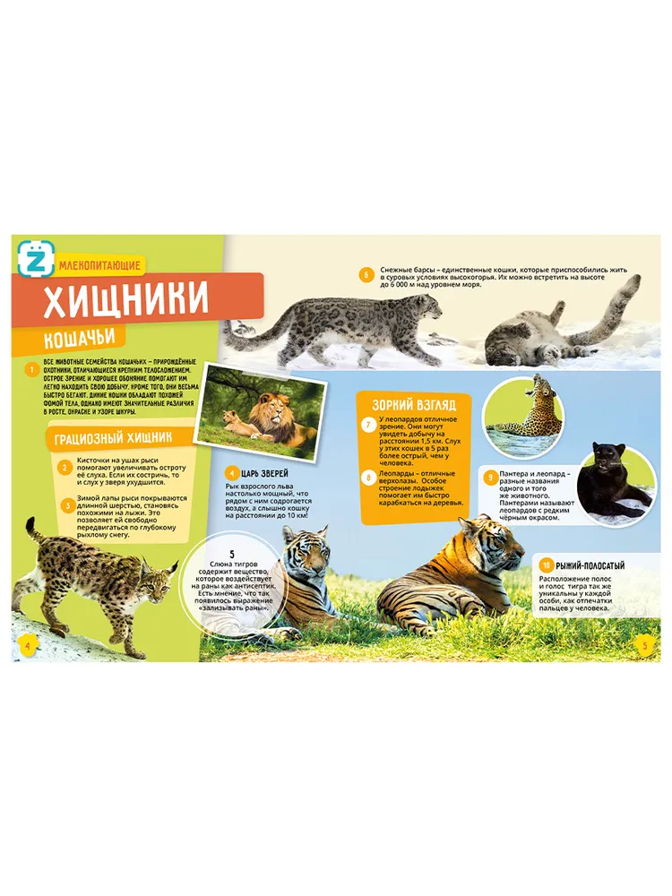 Animals. Dinosaurs. 250 Incredible Facts (set)