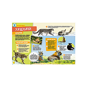 Animals. Dinosaurs. 250 Incredible Facts (set)