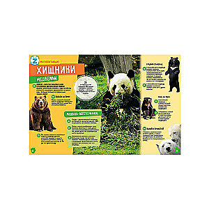 Animals. Dinosaurs. 250 Incredible Facts (set)
