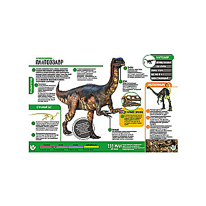 Animals. Dinosaurs. 250 Incredible Facts (set)
