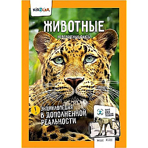 Dinosaurs. The World Ocean. Insects and Arachnids. Animals (set)