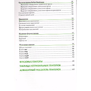 Anglų kalba. Veiksmų žodžių vadovas