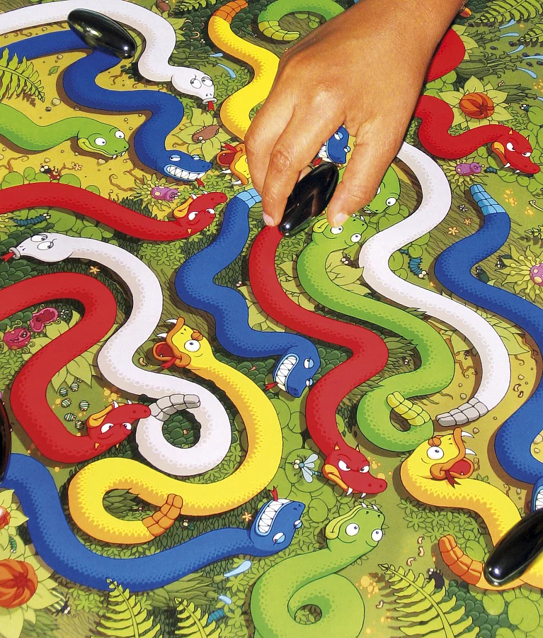The Board Game Rattlesnake Jungle
