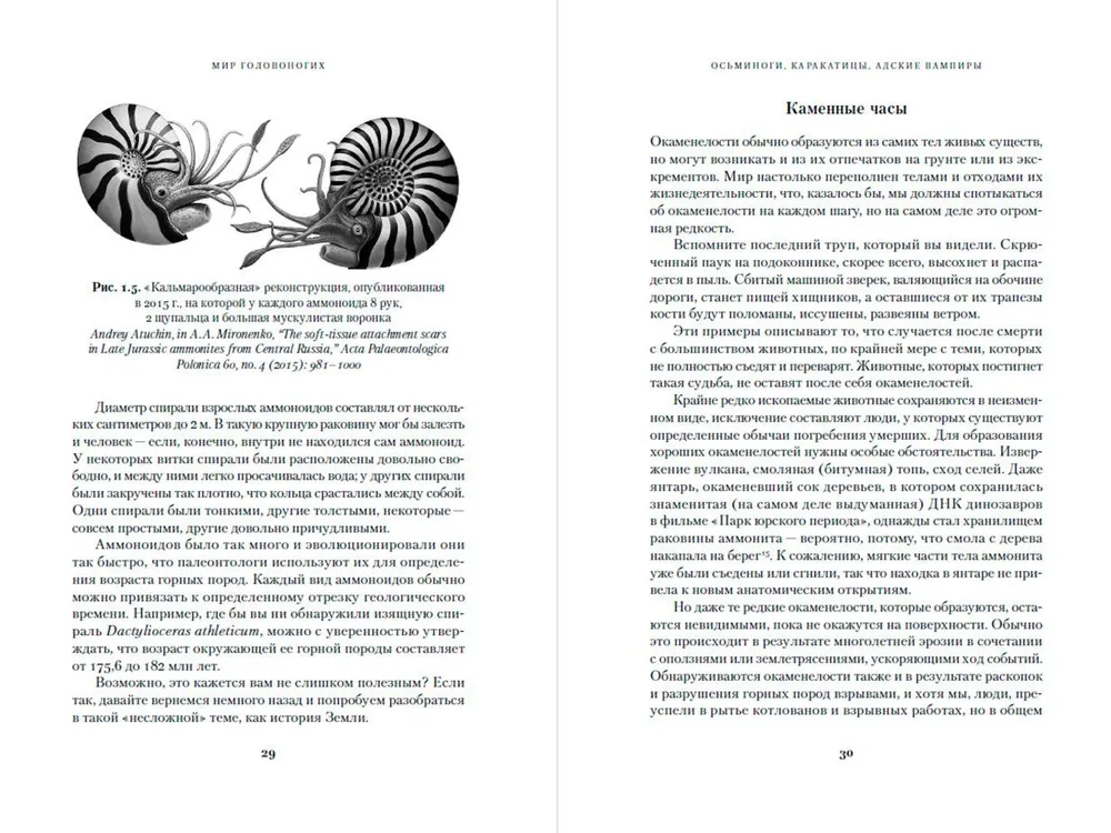 Octopuses, Cuttlefish, Hellish Vampires: 500 Million Years of Cephalopod History