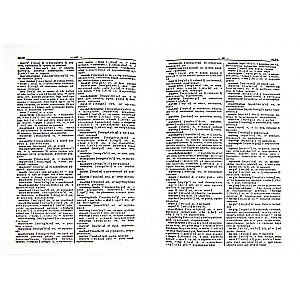 Large Danish-Russian Dictionary