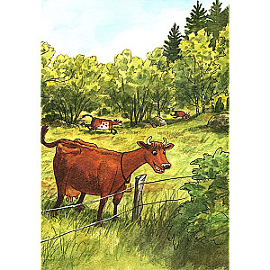 How Mama Moo and Kraks Met
