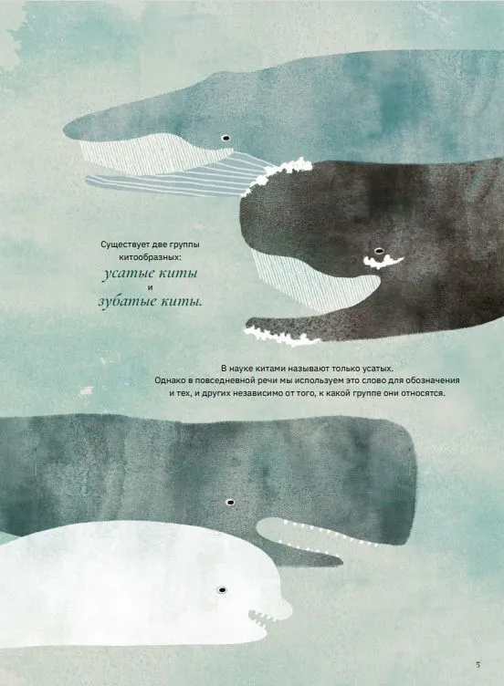 Whales and Us