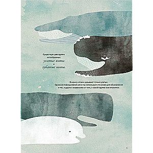 Whales and Us