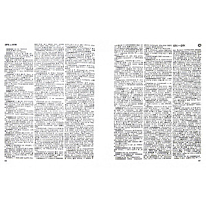 Big Russian-Chinese Dictionary
