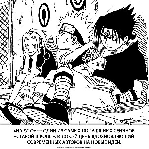 Naruto. Naruto. Book 12. Meeting After the Separation!