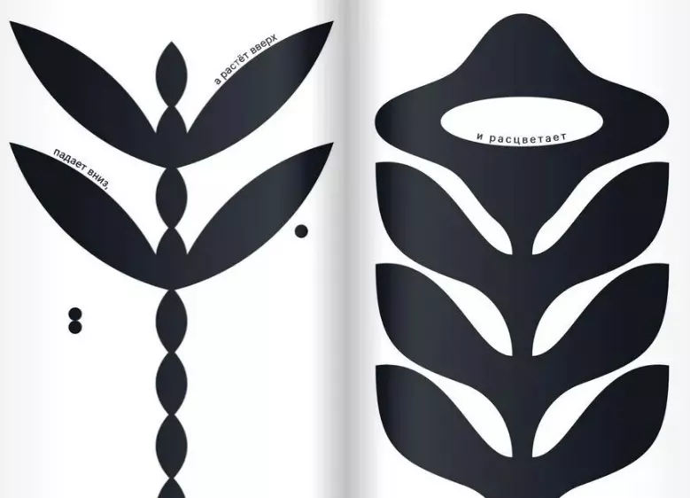 How a seed becomes a colorful field