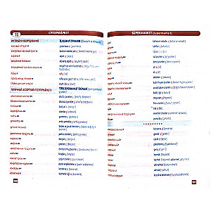 Turkish Language. Thematic Dictionary