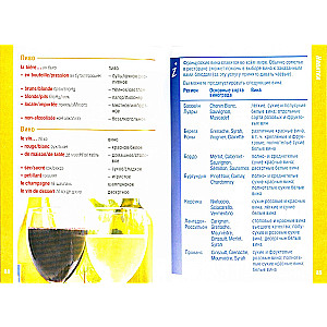 Premium. French Phrasebook and Dictionary