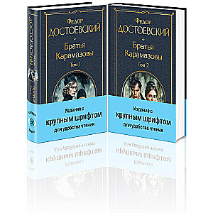 The Brothers Karamazov (a set of two books in large print)