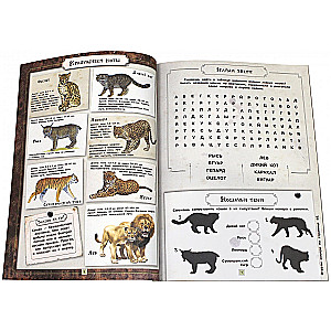 Fascinating Zoology. Animals