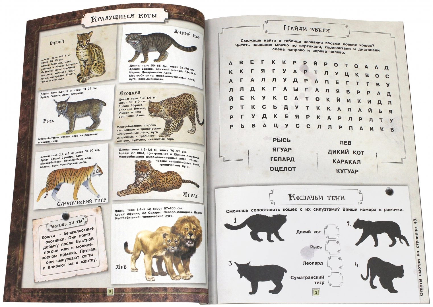 Fascinating Zoology. Animals