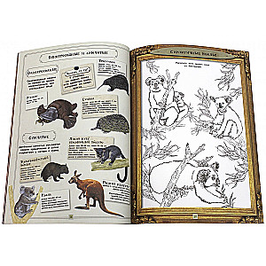 Fascinating Zoology. Animals