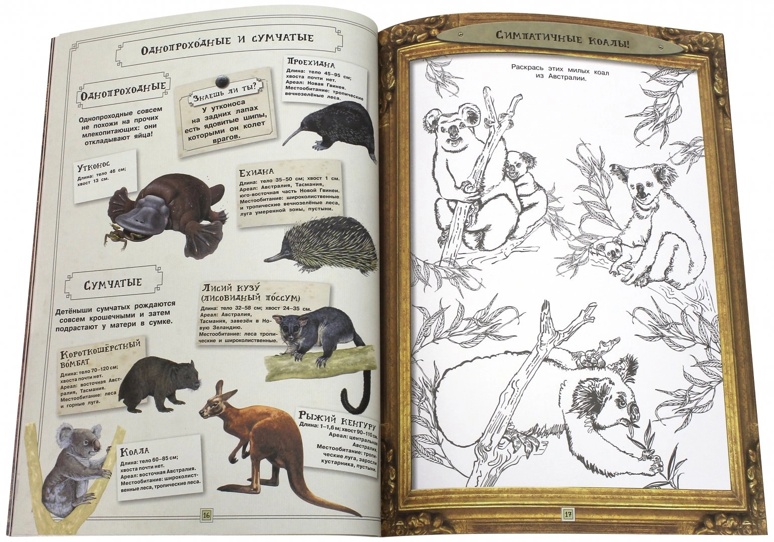 Fascinating Zoology. Animals