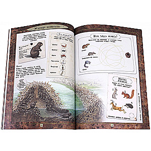 Fascinating Zoology. Animals