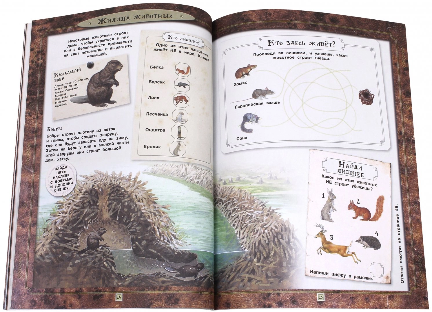 Fascinating Zoology. Animals