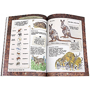 Fascinating Zoology. Animals