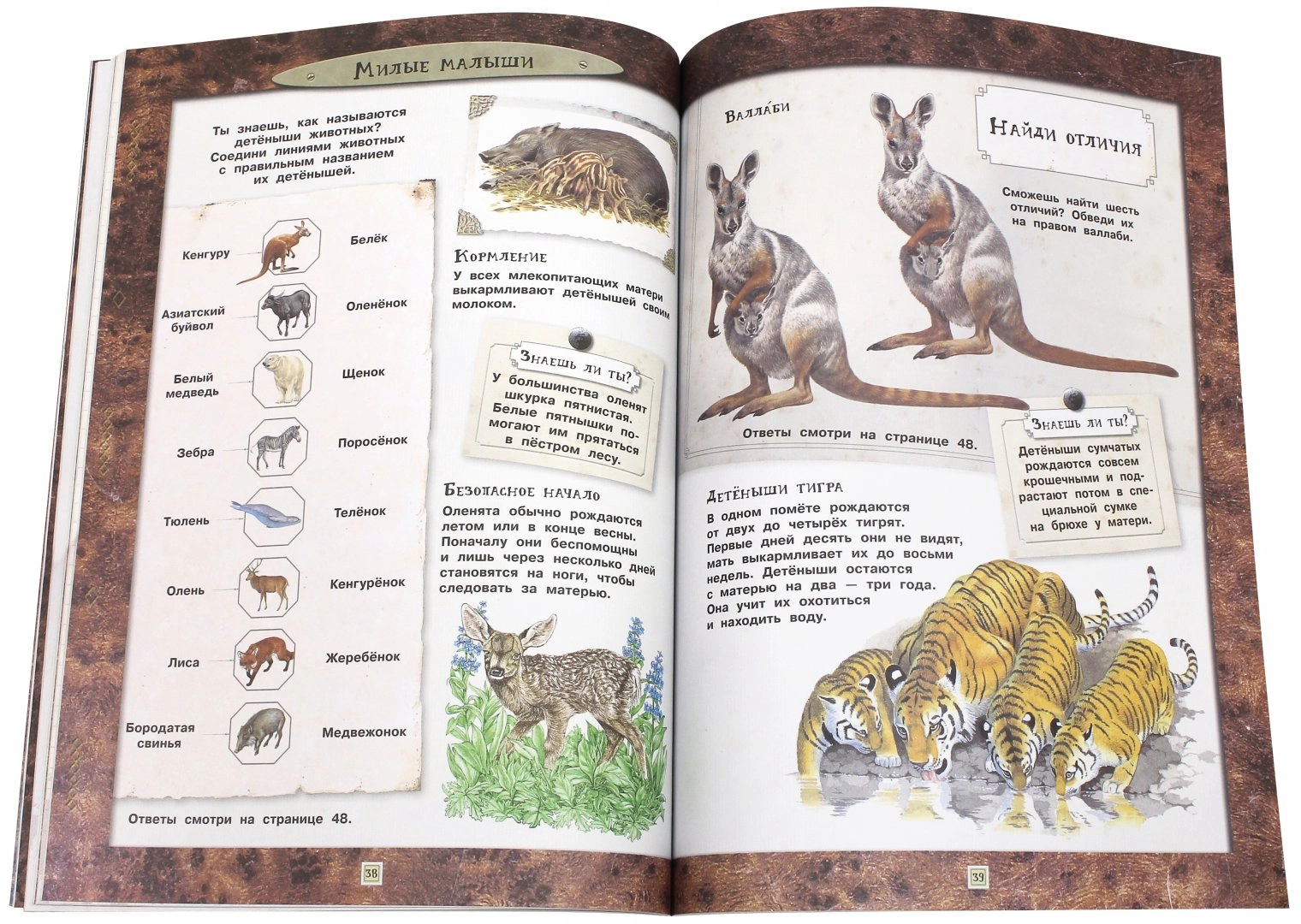 Fascinating Zoology. Animals