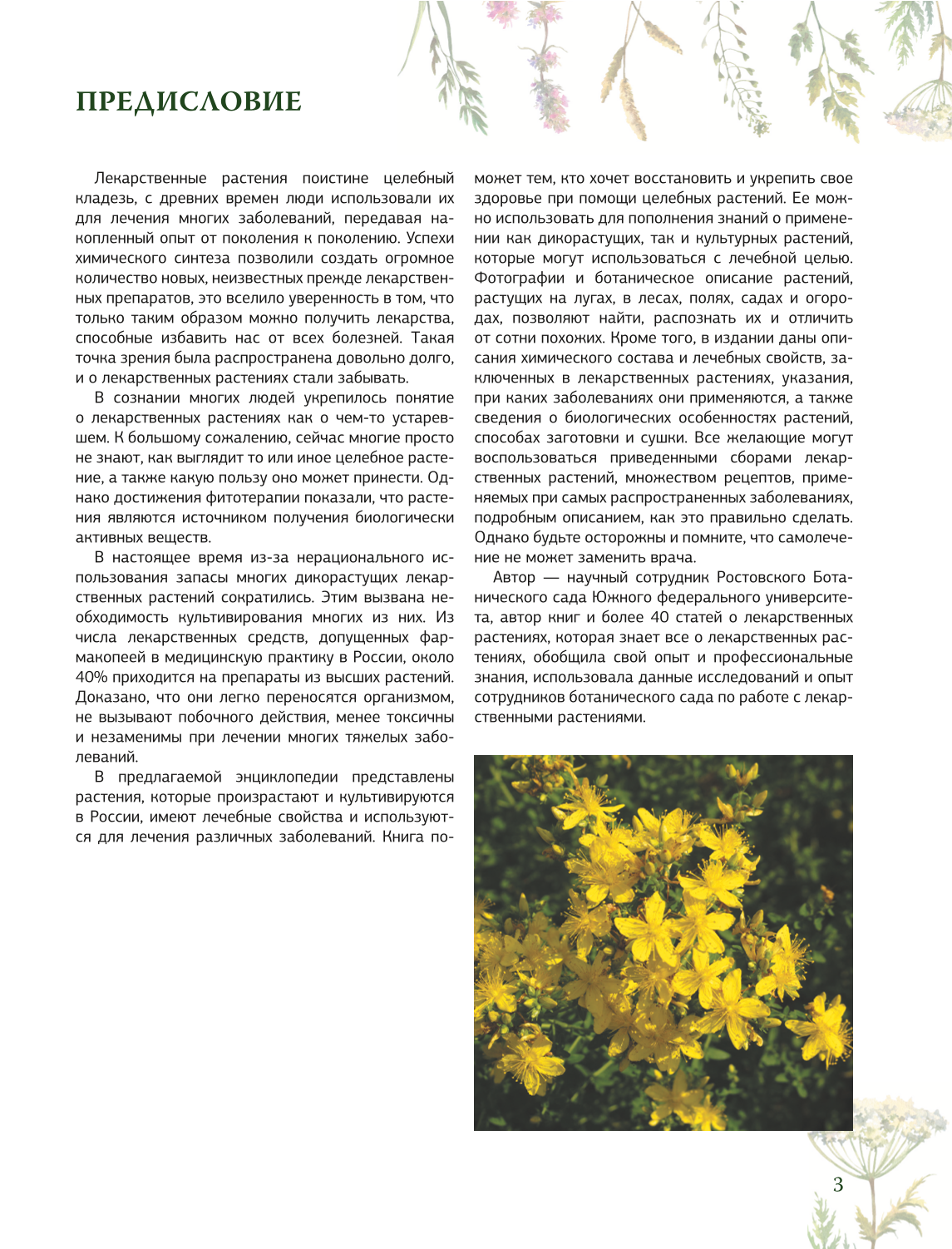 Ziołolecznictwo. Wielka encyklopedia roślin leczniczych