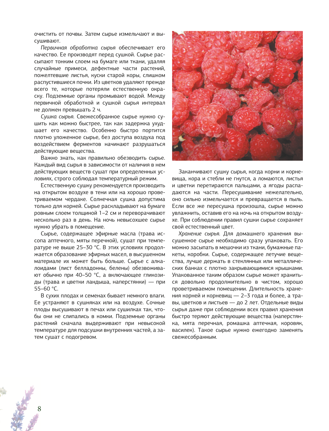 Ziołolecznictwo. Wielka encyklopedia roślin leczniczych