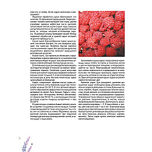 Ziołolecznictwo. Wielka encyklopedia roślin leczniczych