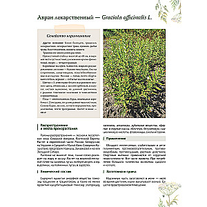 Ziołolecznictwo. Wielka encyklopedia roślin leczniczych