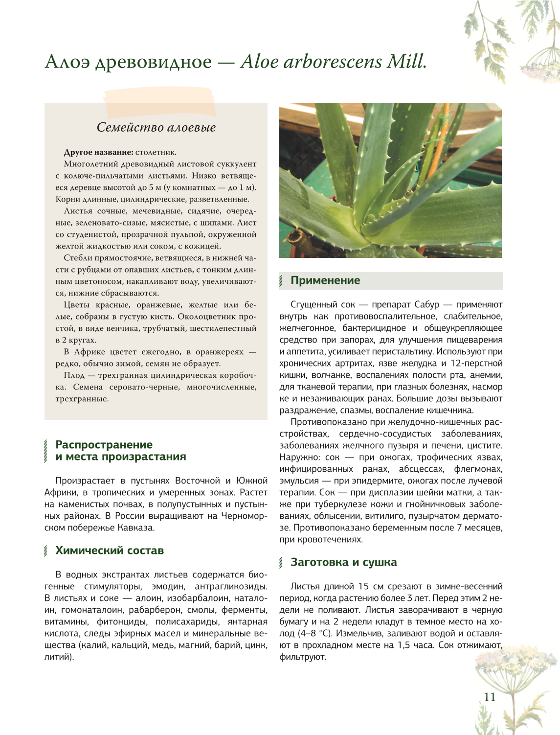 Ziołolecznictwo. Wielka encyklopedia roślin leczniczych