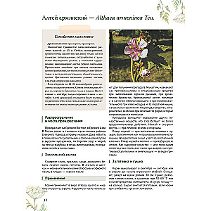 Ziołolecznictwo. Wielka encyklopedia roślin leczniczych