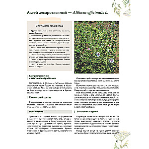 Ziołolecznictwo. Wielka encyklopedia roślin leczniczych