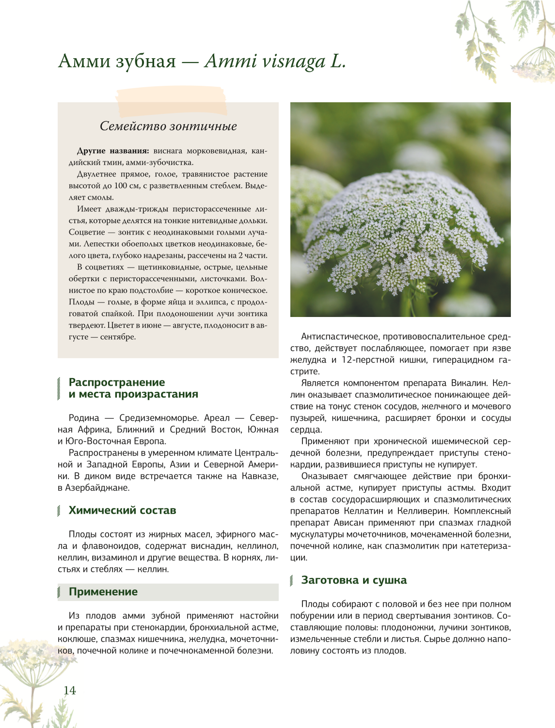 Ziołolecznictwo. Wielka encyklopedia roślin leczniczych