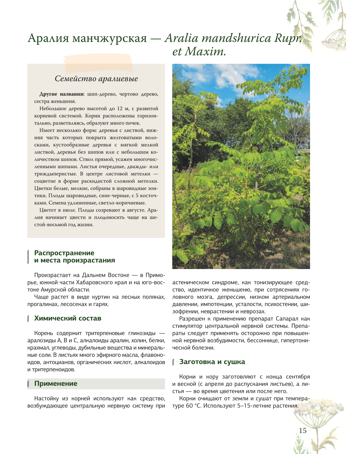 Ziołolecznictwo. Wielka encyklopedia roślin leczniczych