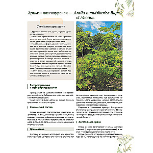 Ziołolecznictwo. Wielka encyklopedia roślin leczniczych