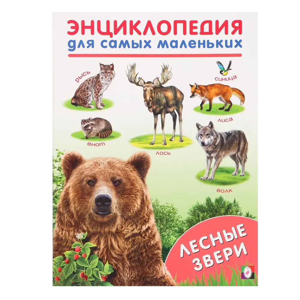 Forest Animals