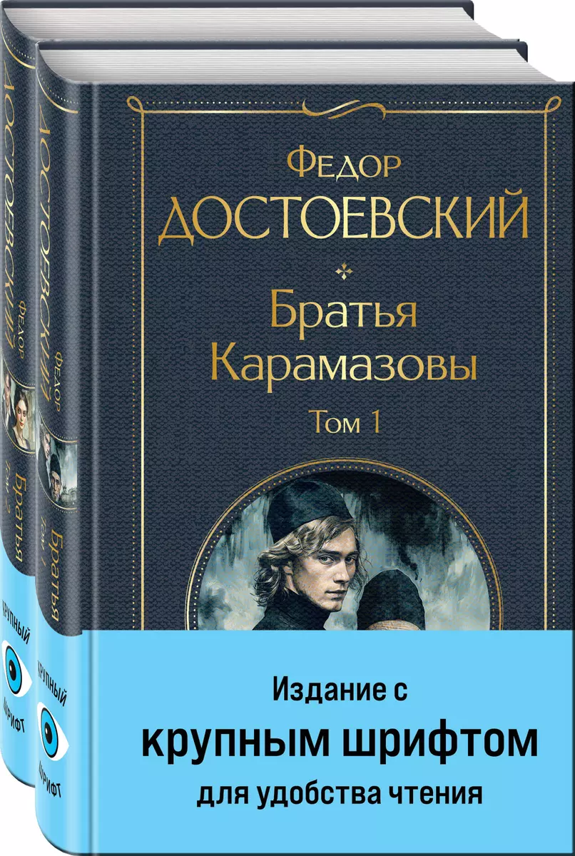 The Brothers Karamazov (a set of two books in large print)