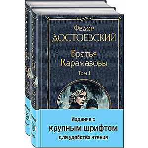 The Brothers Karamazov (a set of two books in large print)