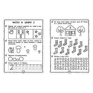 Developing Mathematical Abilities