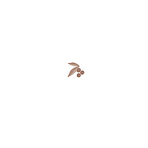 The Philosophy of the Coffee Bean. 111 Messages for Those Who Want to Live Life to the Fullest