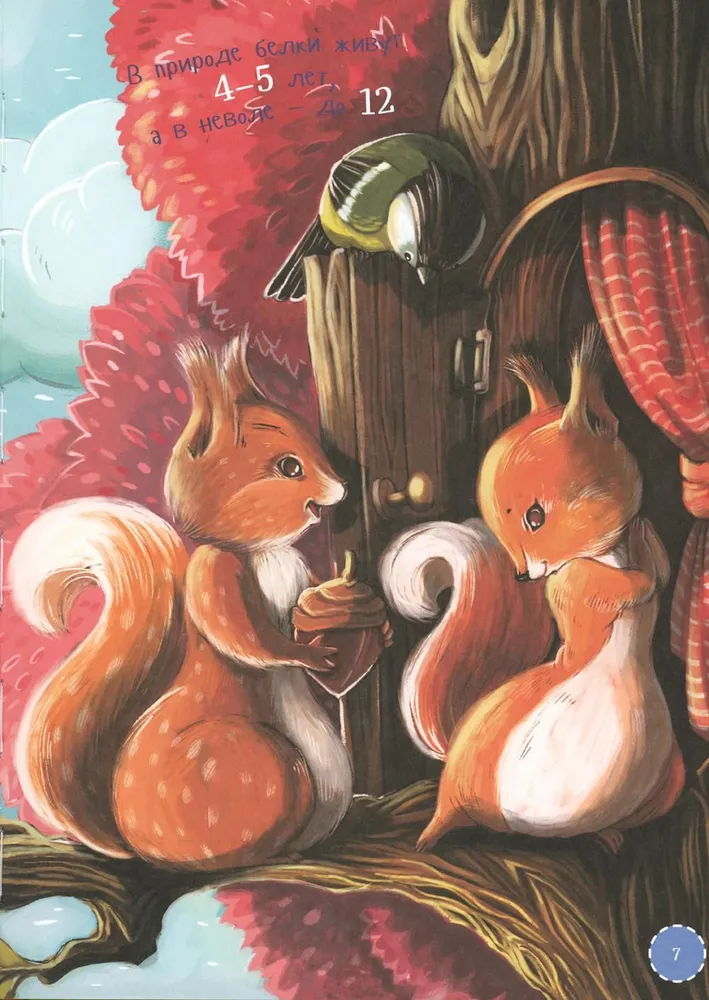 I am a squirrel