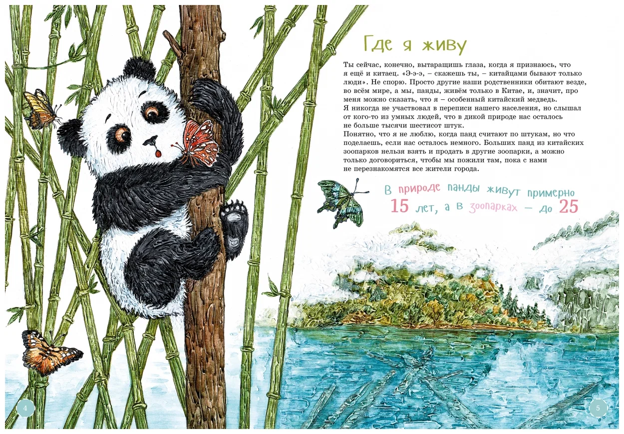 I am a big panda