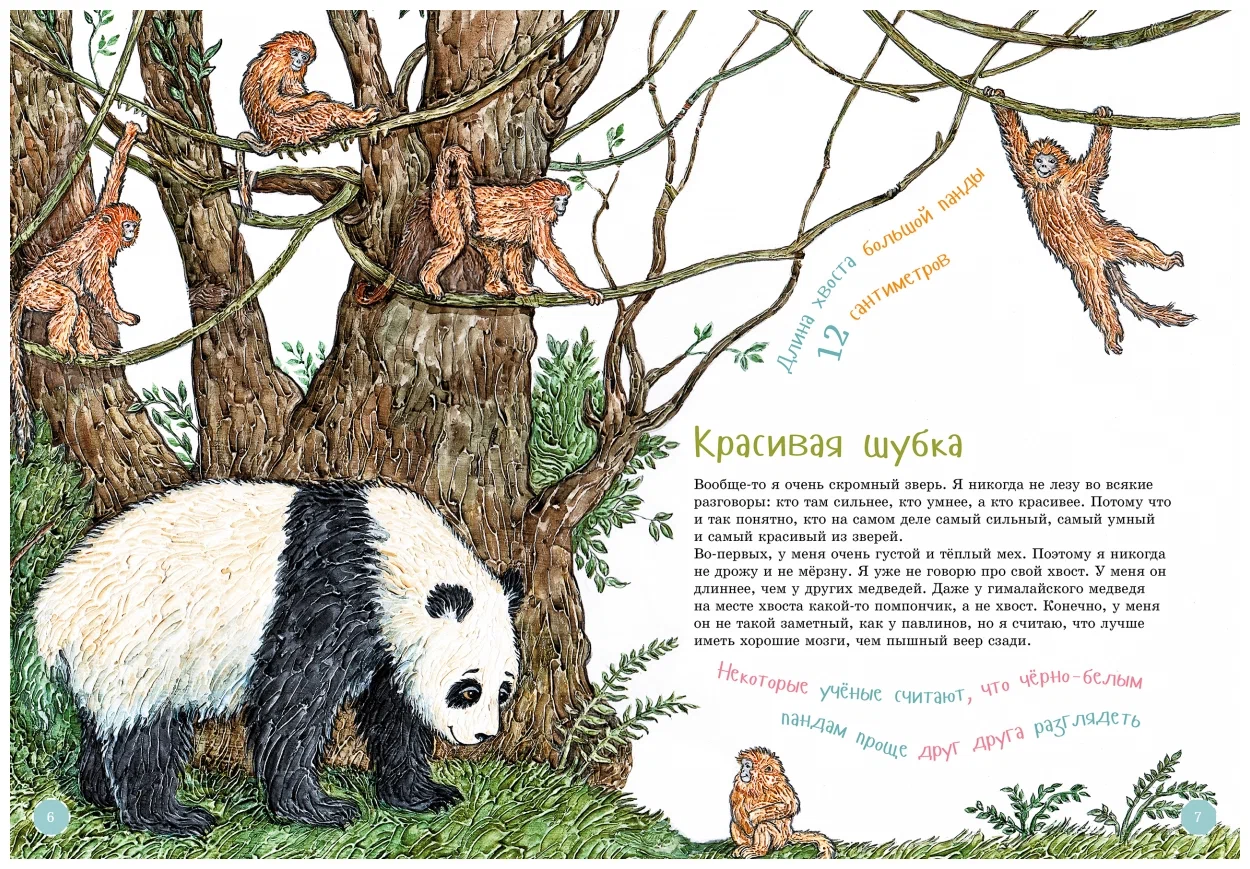 I am a big panda
