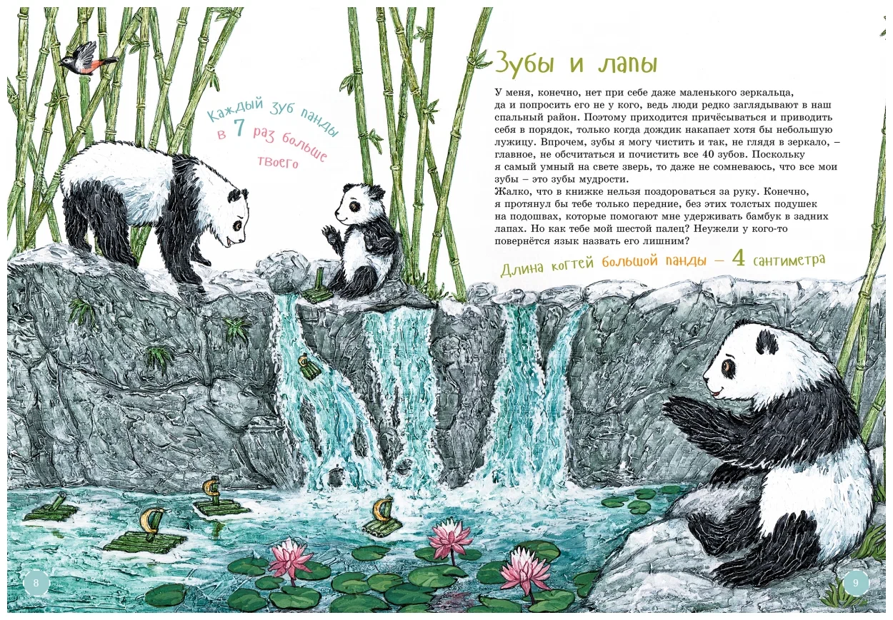 I am a big panda