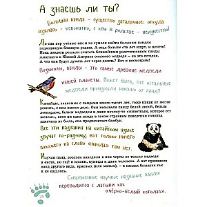 I am a big panda
