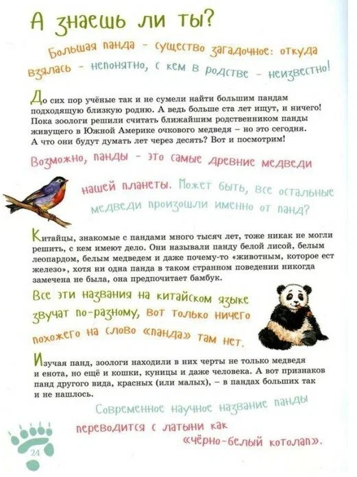I am a big panda