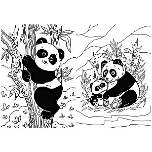 I am a big panda