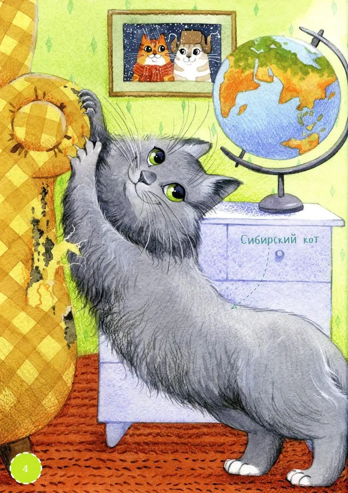 I am a cat